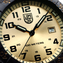 Load image into Gallery viewer, Luminox Leatherback Sea Turtle Gold Edition Watch - 0325